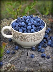 Bowl of Blueberries